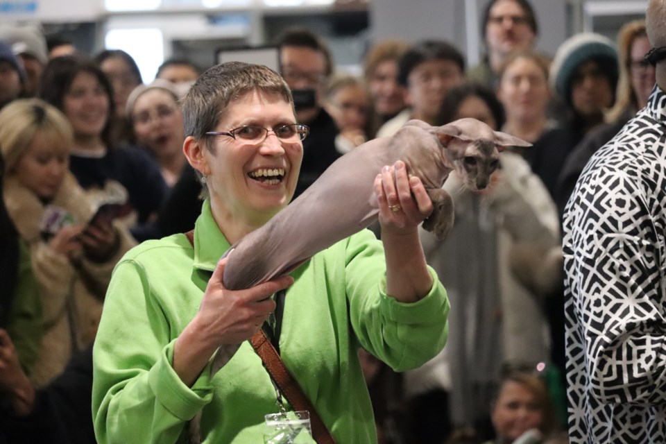 A one-year-old Peterbald cat, a hairless breed of Russian origin. Believed to be the only one in Toronto, the Peterbald is long in the body, legs and ears.