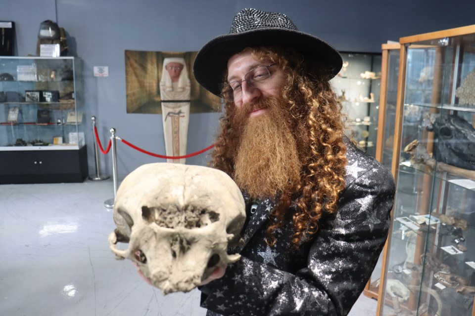 Prehistoria Natural History Centre curator Ben Lovatt holds a fetal woolly mammoth skull, among the only ones on public display anywhere in the world.