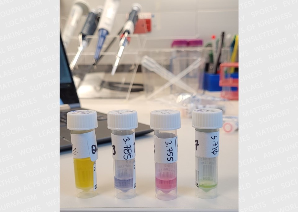 20250313fentanylsamples