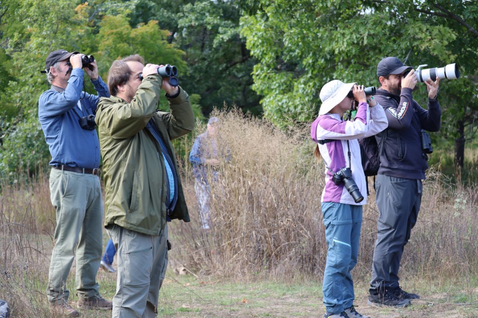 A group of observers enjoyed favourable birdwatching conditions at High Park's Hawk Hill on Tuesday.