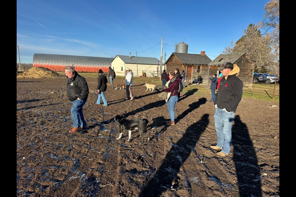 During the Pink Creek Simmentals hosted tour international visitors enjoyed seeing the setup and herd of Simmental cattle in August. This visit resulted in a sale for Pine Creek to one of the Mexico visitors. Photo supplied by Alois Kerckhof.