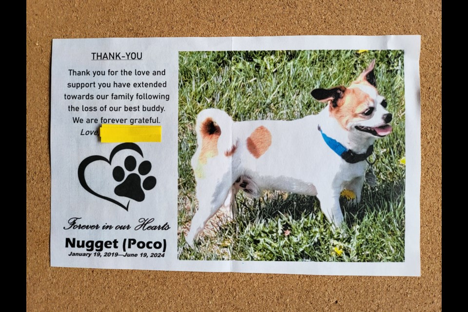 Poco/Nugget thank you card in recognition of the kindness of neighbours in the community.