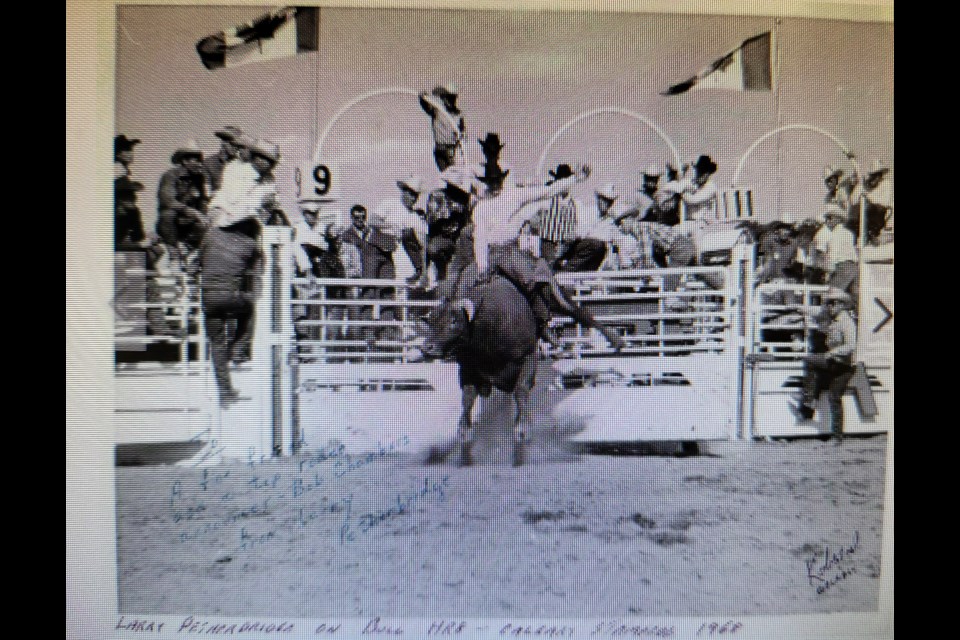 Larry Petherbridge competing at the 1968 Calgary Stampede.