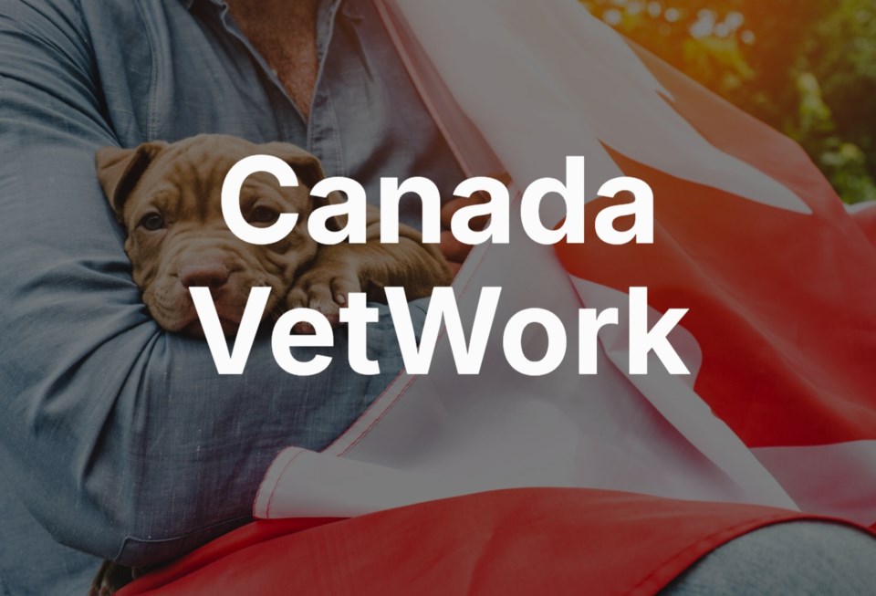 can-vetwork