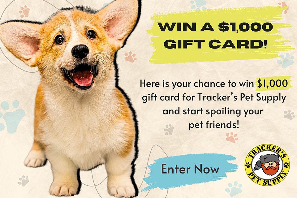 trackers-pet-supply_contest-design-1