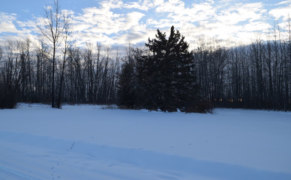 old-camp-creek-general-store-site-cleaned-up-dec-5-winter-copy