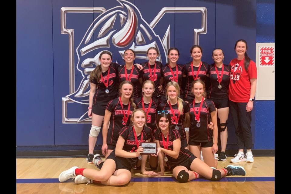 Gold and silver for Neerlandia and RF Staples Volleyball Teams - Pembina  Hills School Division