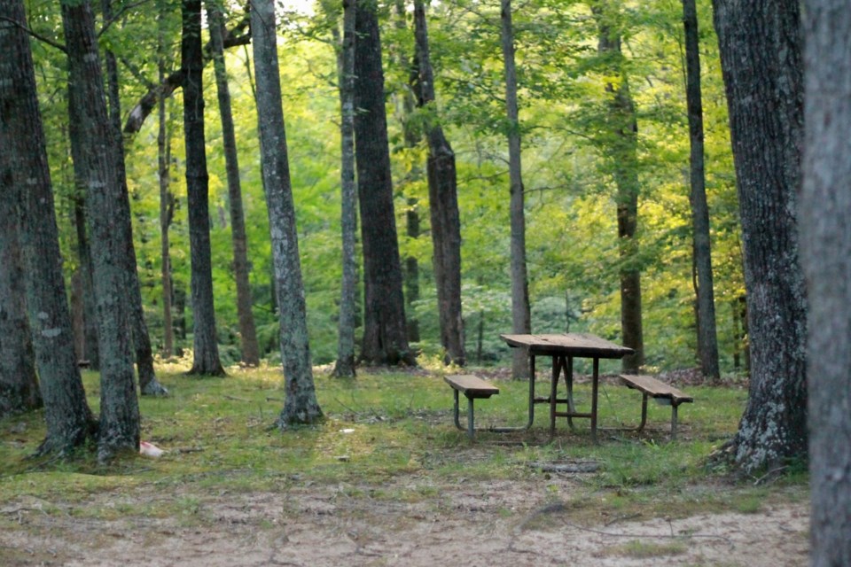 picnic-table-837221_1280