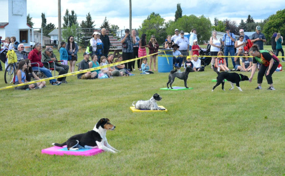 Rain puts a damper on Westlock’s Canada Day events Athabasca