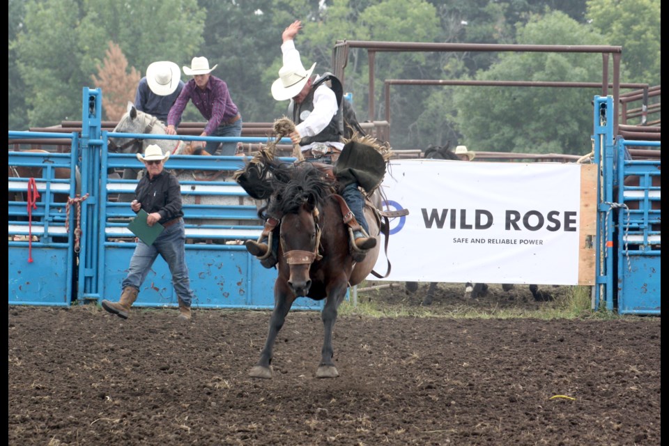 Stuart Milne from Australia tries to hold on during his ride in the saddle bronc category during the rodeo event at the annual Westlock and District Agricultural Fair on Aug. 17. 