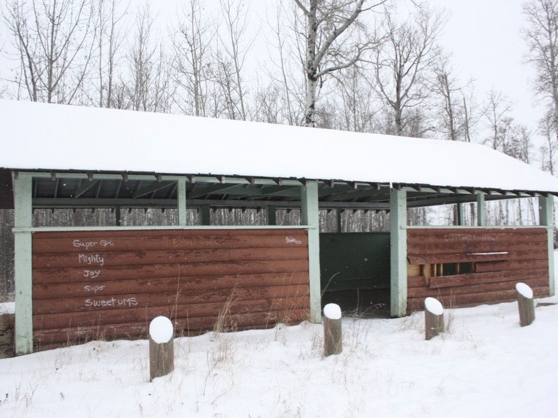 The Rochester rest stop bears graffiti and, says Rochester Ag Society president Helen Goertz, is often a dumping site for everything from furniture to needles.