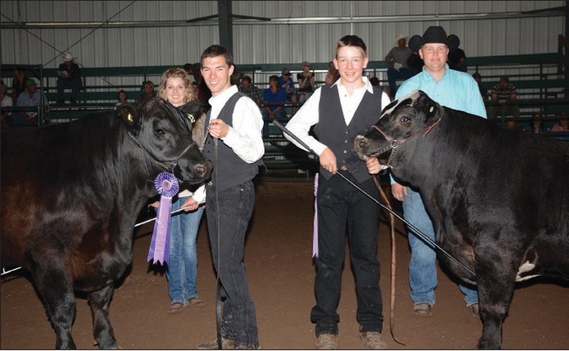 THE CHAMPIONS! This year &#8216;s Barrhead 4-H Interclub champion steers both came from the Camp Creek club. At left, Jesse Emery shows the Grand Champion steer GROOT. At