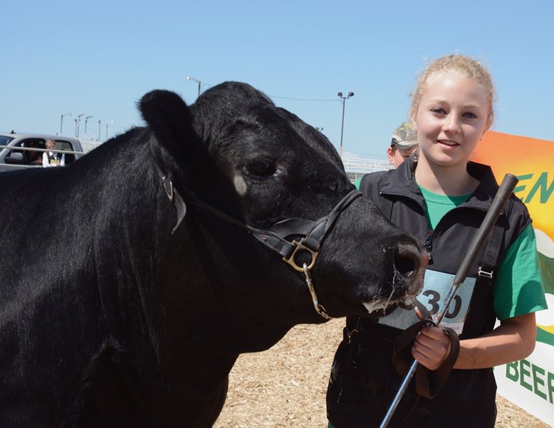 Chloe Hein with her Black Angus steer WEST flashes a happy smile just moments after winning the Westlock 4-H District Grand Champion Steer title.