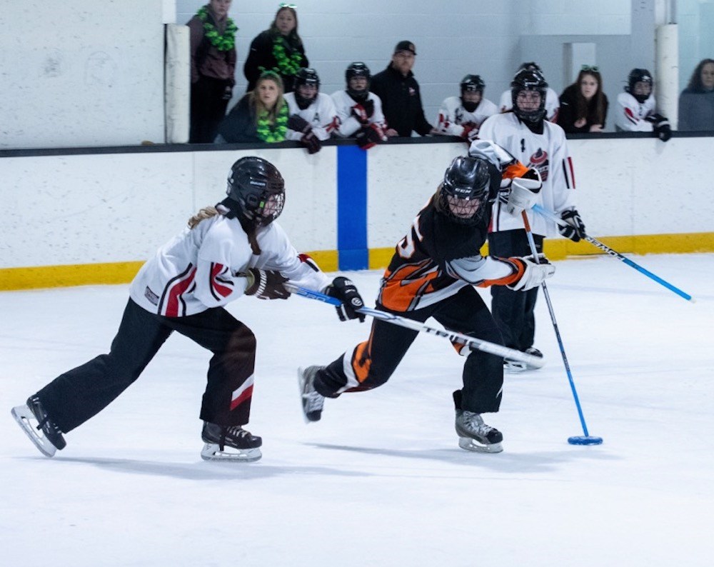 U14C Pembina Pursuit win gold at provincial ringette championships ...