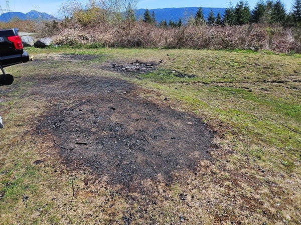 Burnt grass at Eagle Mountain Park in Coquitlam.