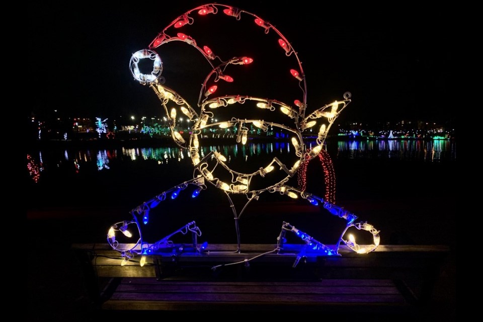 Reminder Catch the final viewing of Lights at Lafarge in Coquitlam