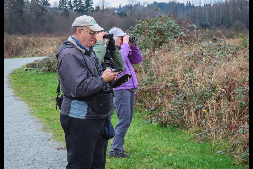 A scene from last year's Audubon Christmas Bird Count in the Tri-Cities. The Pitt Meadows count takes place on Saturday, Jan. 4, 2025.