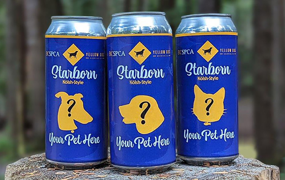 A star is brewed: BC SPCA launches beer-based fundraiser