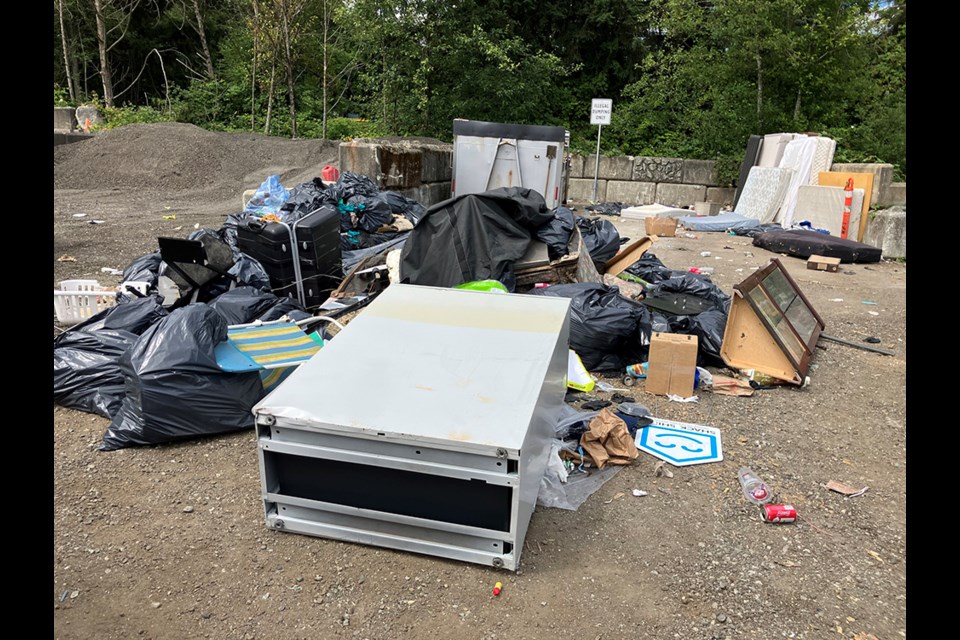 Port Coquitlam city works crews found 14 illegal dumping sites across the city during its three-day litter blitz, July 10 to 12, 2023.