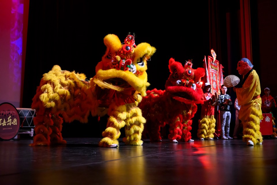 The Golden Maple Multicultural Society’s spring festival gala kicked off with a lion dance.