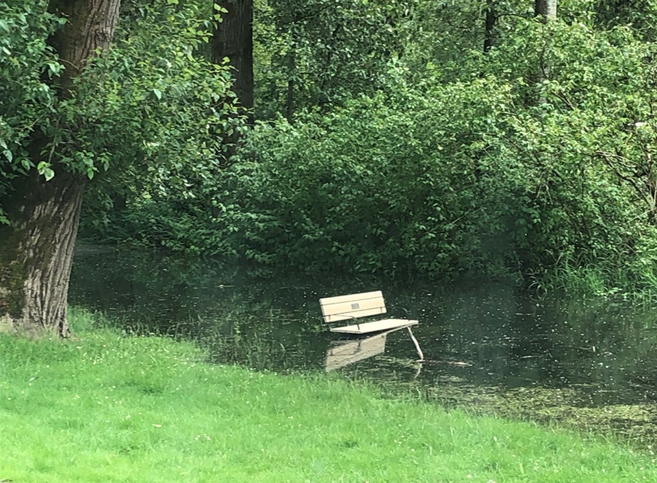 brianminterwaterfloodingparkbench_october2024