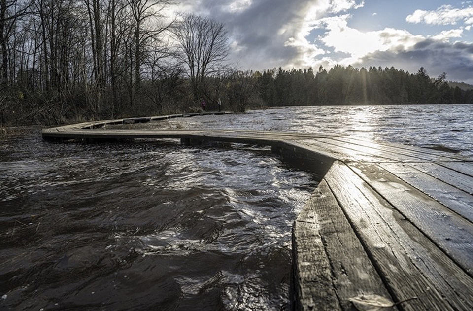 Port Coquitlam faces hoarding worries in wake of flood - Tri-City News