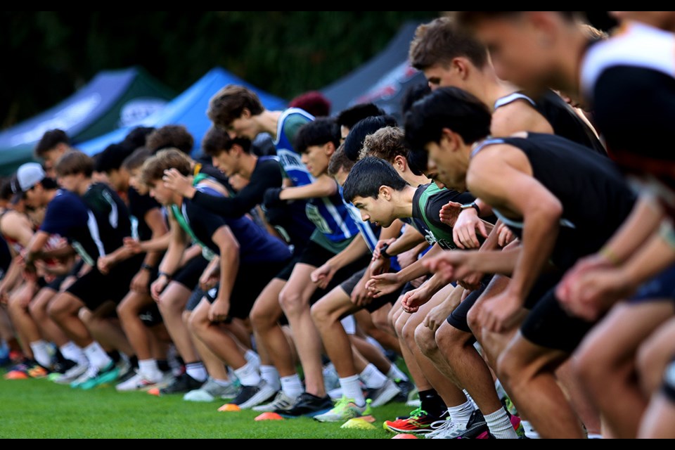 The senior boys race is poised to start the 2024 Fraser North high school cross country championship, held at Coquitlam's Mundy Park.