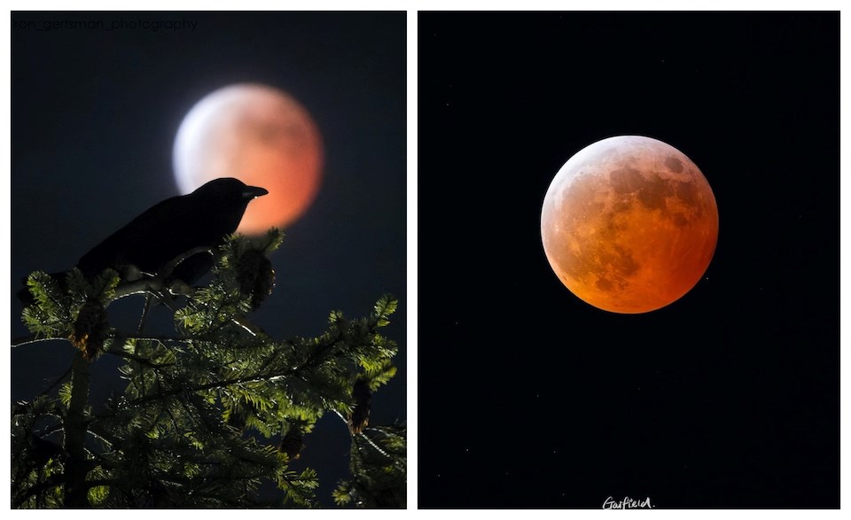 Metro Vancouver, B.C. residents photographed the "blood moon" total lunar eclipse overnight on March 13, 2025. 