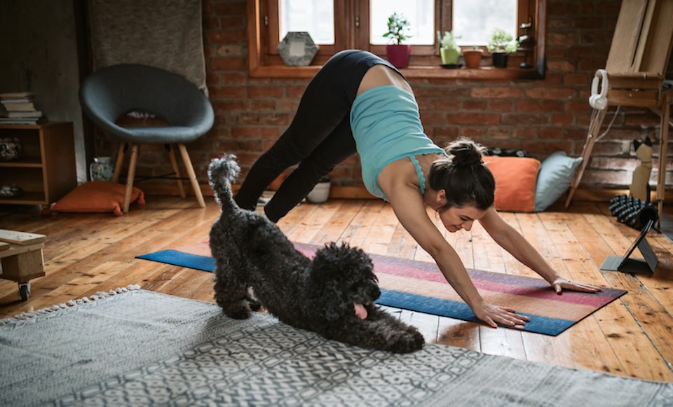 dog-yoga-vancouver-may-2024