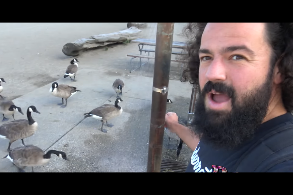 Brad Walsh showered some Canada geese while on a trip to Vancouver.