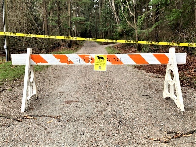 Stanley Park trails closed due to aggressive coyote - vancouver park board