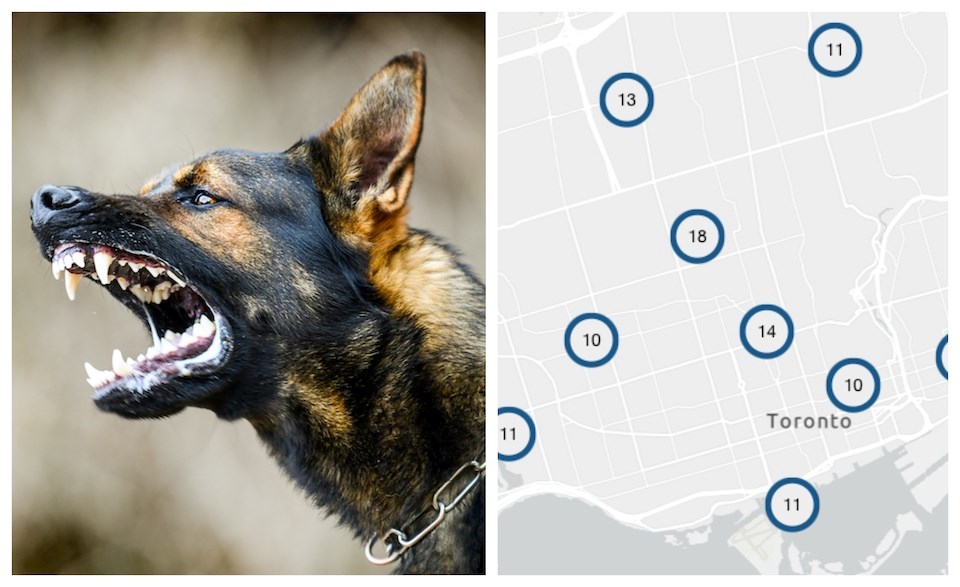 vancouver-dog-attack-toronto-dangerous-dog-registry-2025