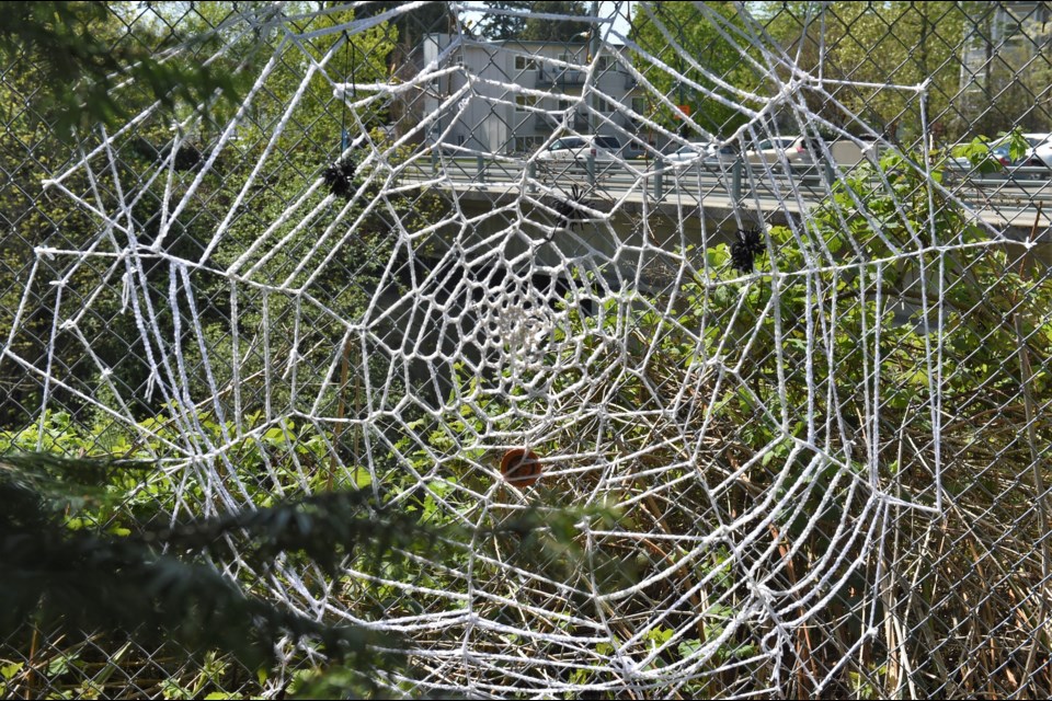 Giant Yarn Spider Web