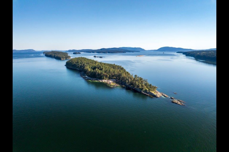 Norway Island in the Salish Sea between 鶹ýӳand 鶹ýӳIsland is selling for $5.75 million.