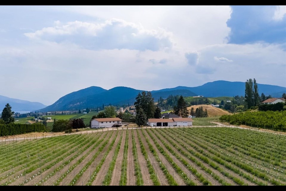 A six-acre lakeview vineyard is up for sale overlooking Okanagan Lake which costs the same as an average home in Vancouver. 