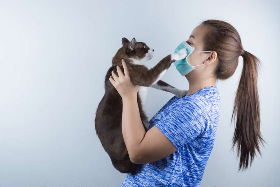 cat-with-woman-face-mask