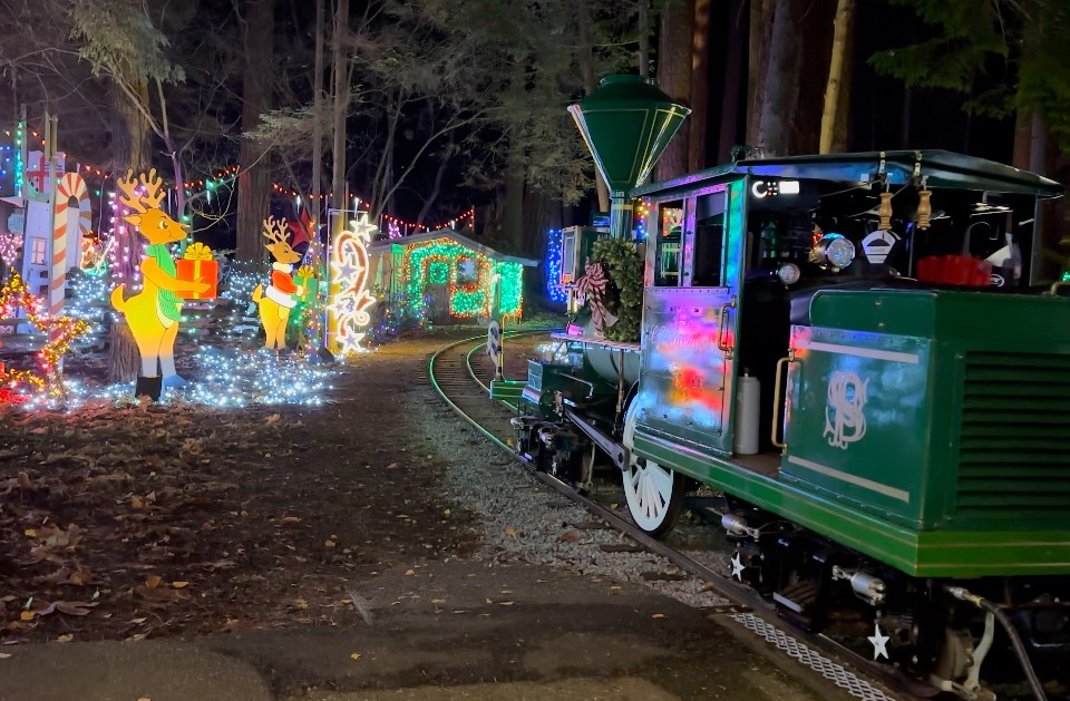 bright-nights-train-stanley-park-vancouver