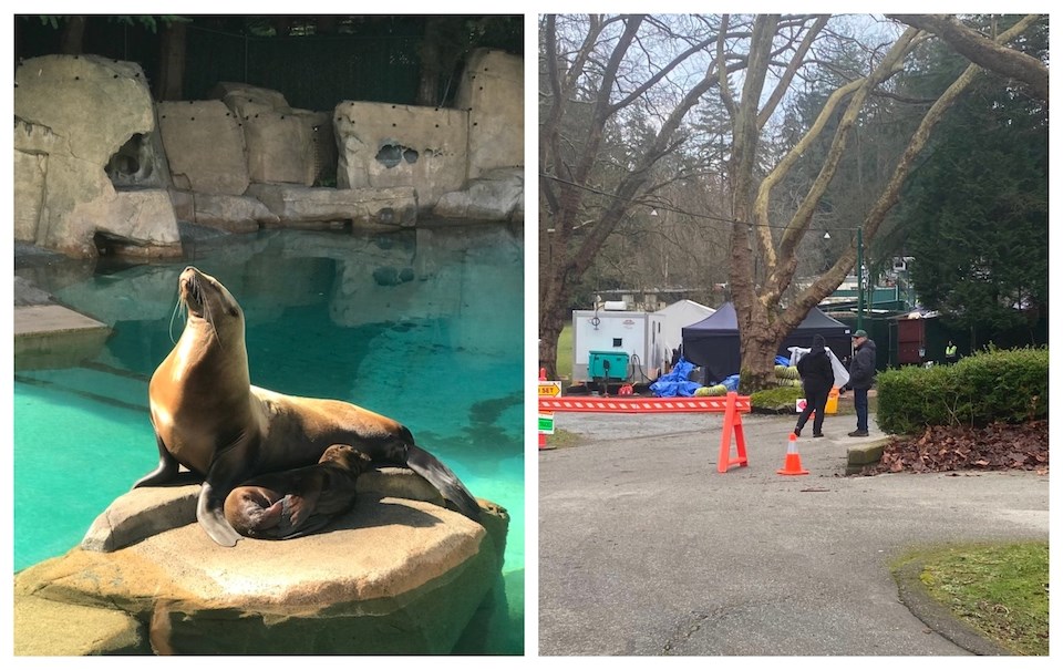 Locals believe the Vancouver Aquarium may be one of the Vancouver filming locations for "The Last Us" in January 2025.