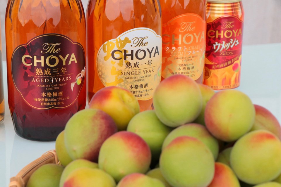 choya-understanding-umeshu