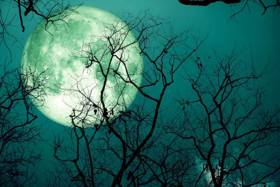 A spectacular full sturgeon moon is set to dazzle Vancouver skies