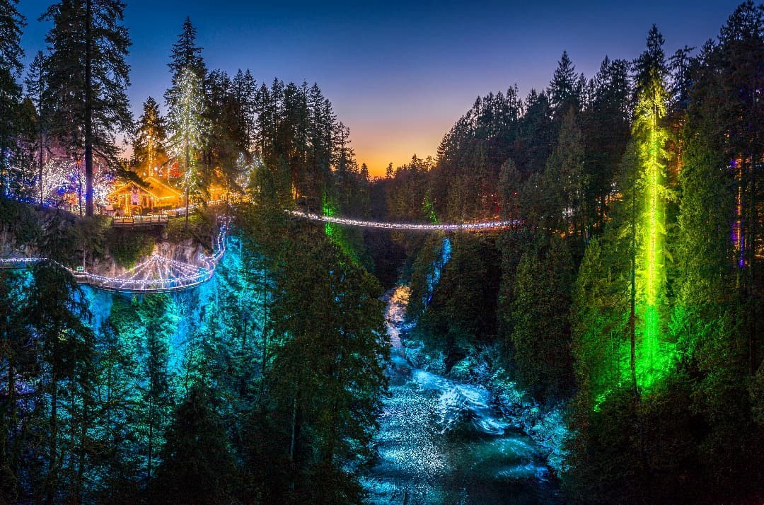 fyrretræ Ooze Kviksølv Canyon Lights at Capilano Suspension Bridge returns in 2021 - Vancouver Is  Awesome