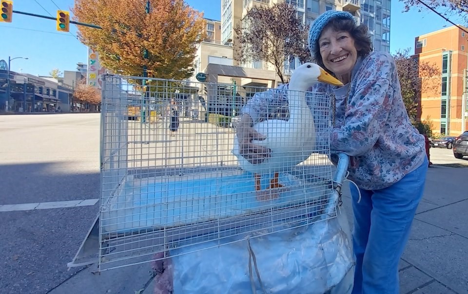 Laura-kay Prophet, the Vancouver Duck Lady, passed away in March 2024.