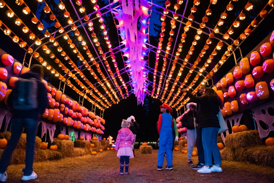 tourism-burnaby-halloween-pumpkins-after-dark