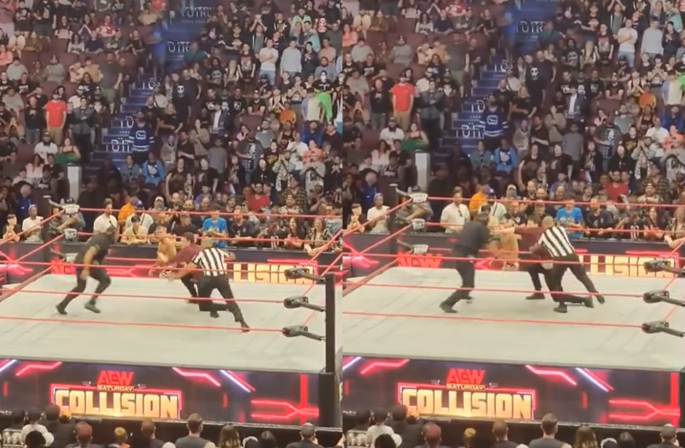 Vancouver fan gets tackled after jumping into wrestling ring ...