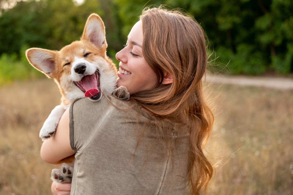 dog-therapy-stock-photo-getty