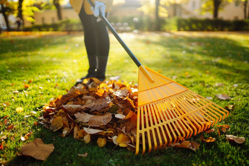 raking-leaves-outdoors