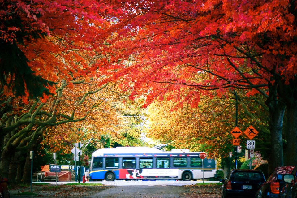 vancouver fall