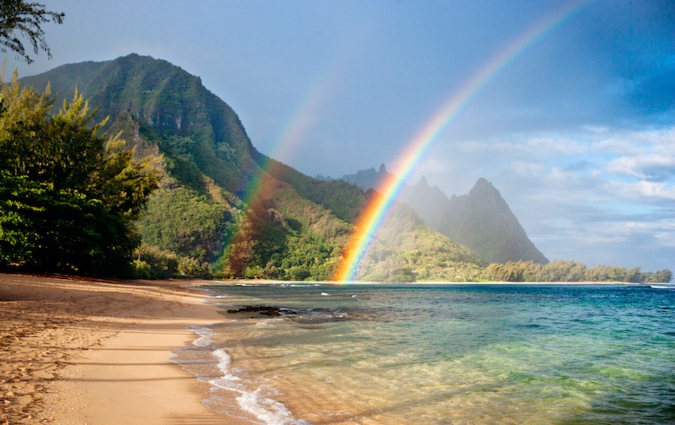 Cruise from Vancouver to Hawaii with Holland America Line at a bargain price. The trip includes stops in Honolulu, Oahu, and Kauai.