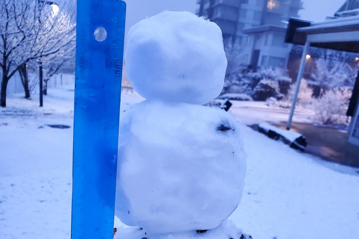 Metro Vancouver Residents Take Photos Of Season’s First Snowfall ...