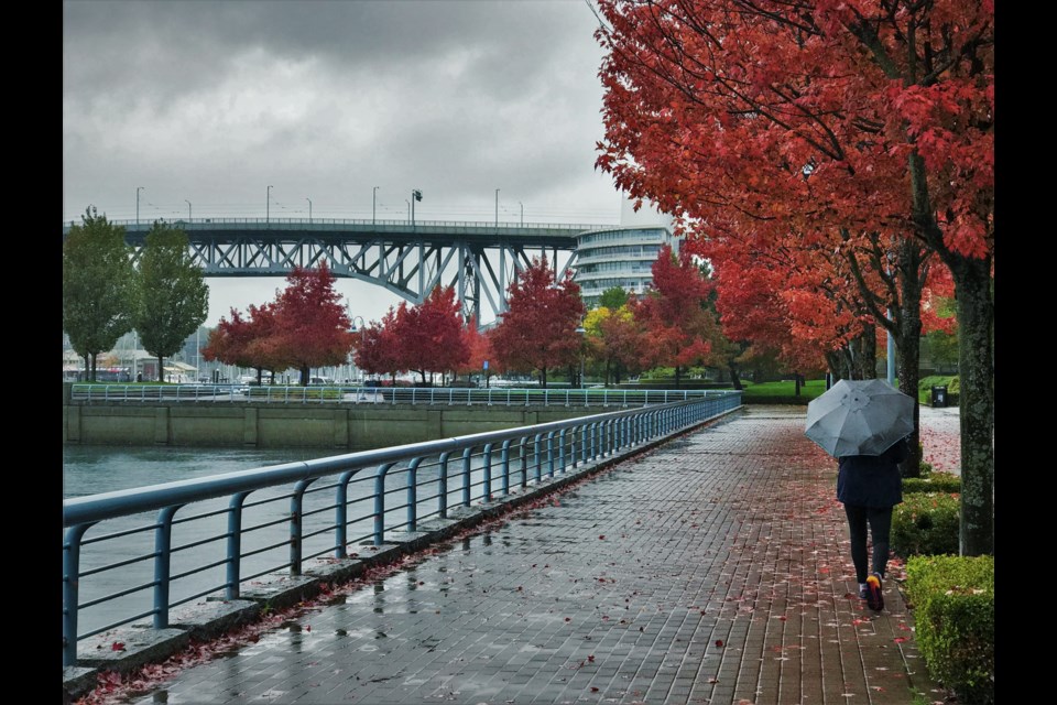 Vancouver's skies will be grey this week with plenty of rain on Friday. 